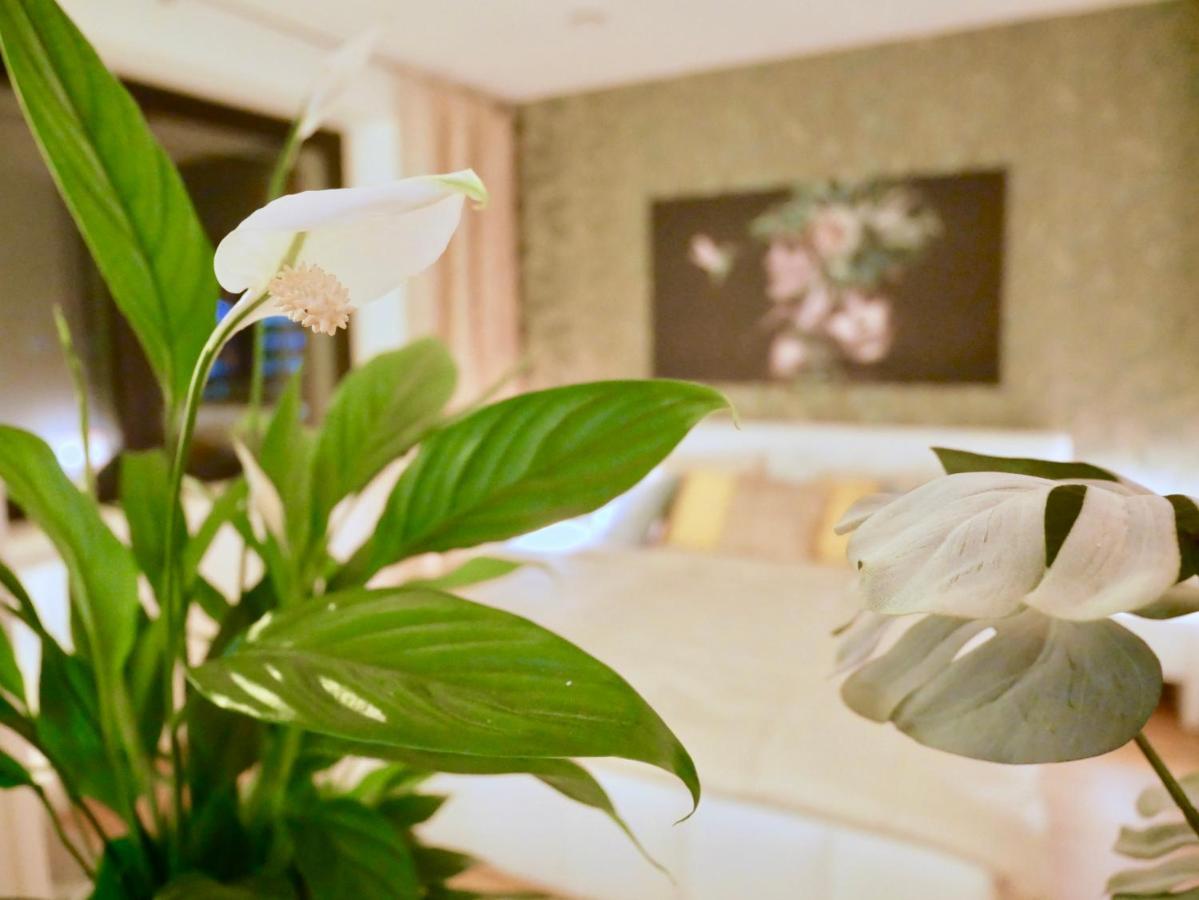 Skylounge City-apartments * Innsbruck